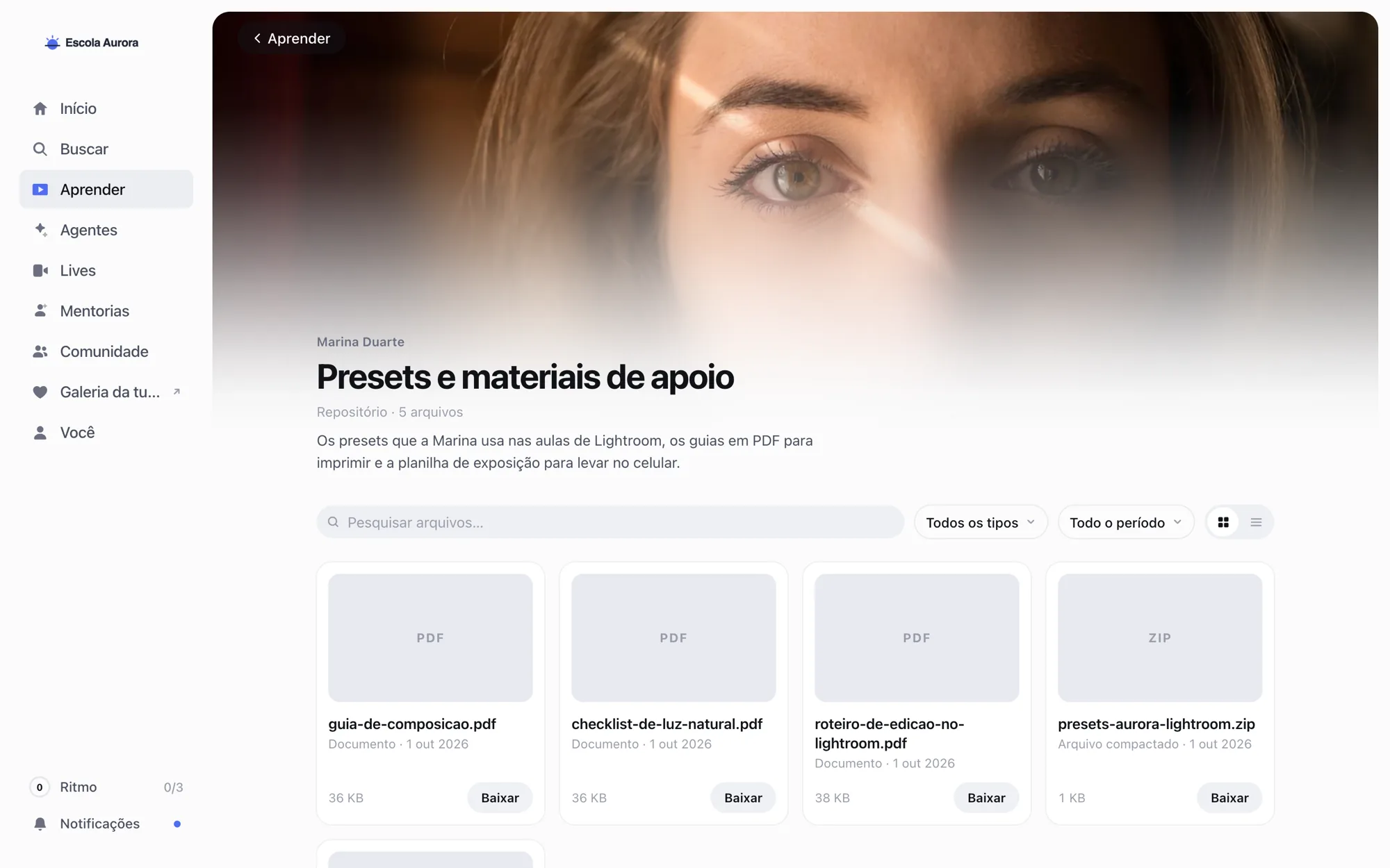 Repositório aberto na área do aluno, com os arquivos em cartões e o botão Baixar