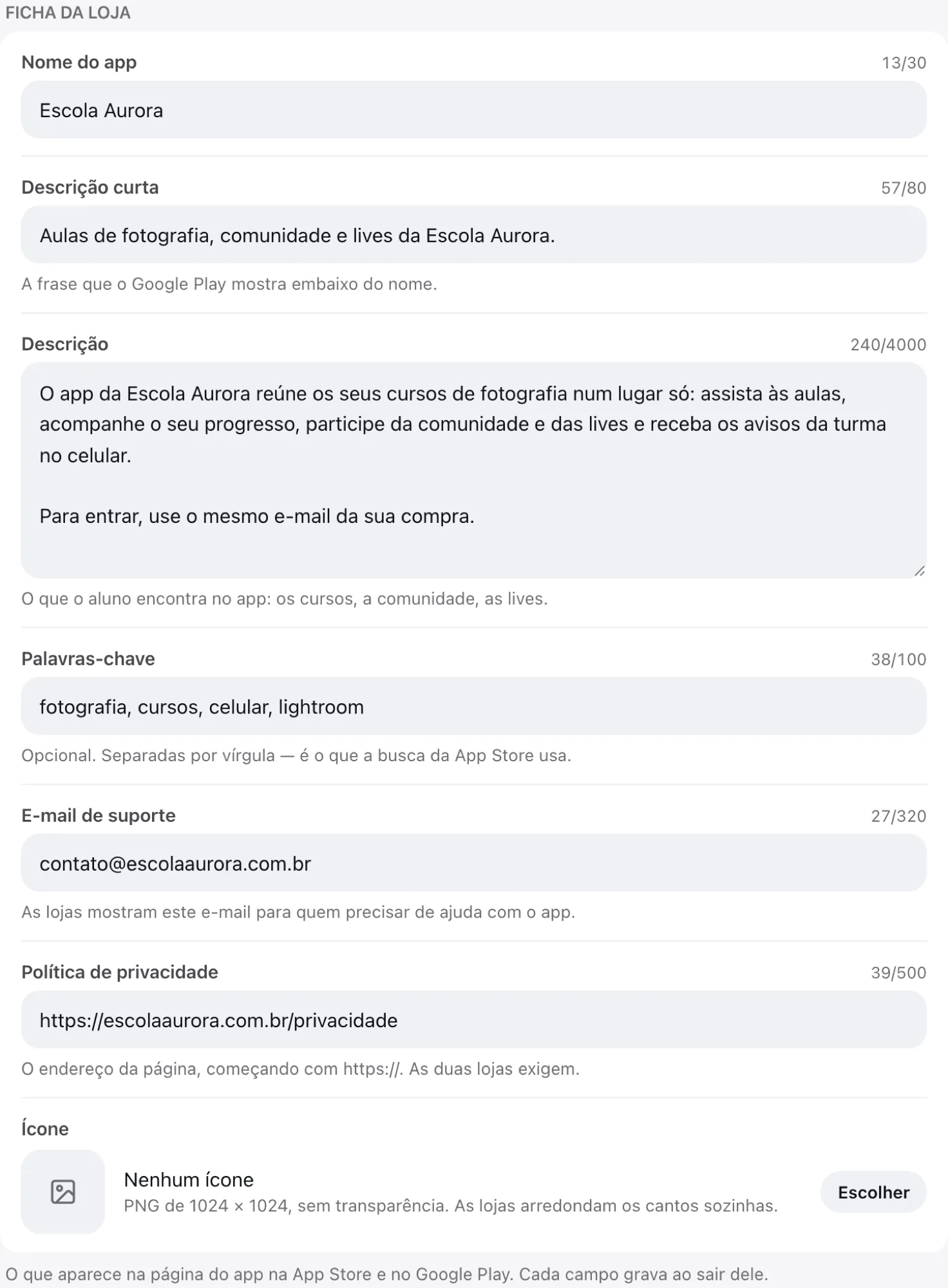 A Ficha da loja preenchida, com o ícone ainda por escolher