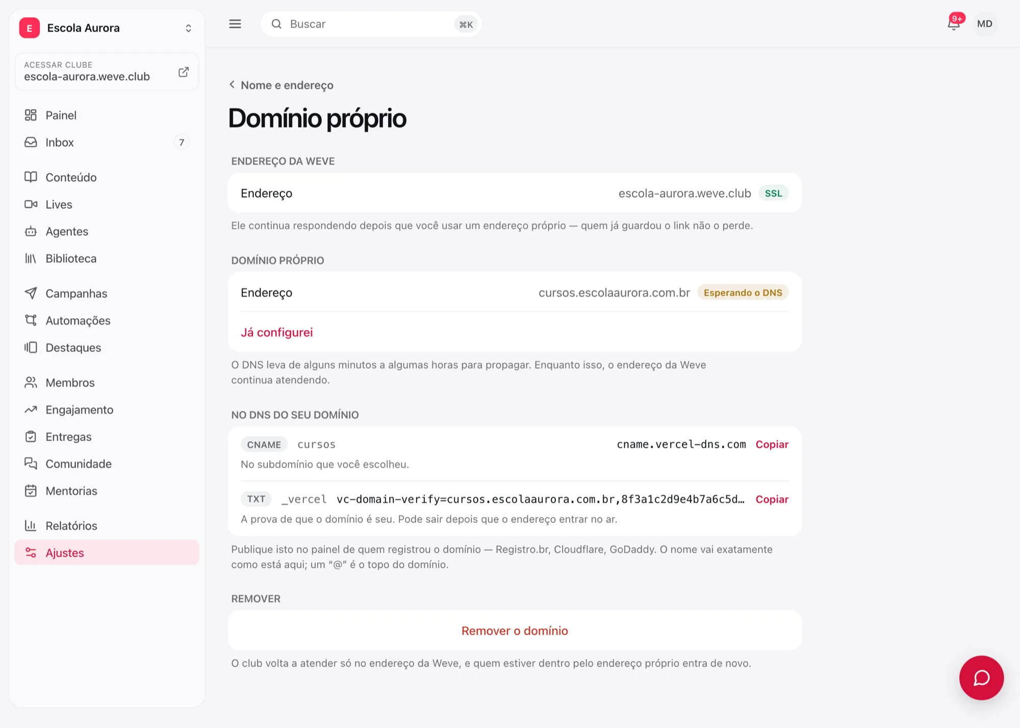 Domínio próprio esperando o DNS, com os registros CNAME e TXT e o botão Copiar ao lado de cada um